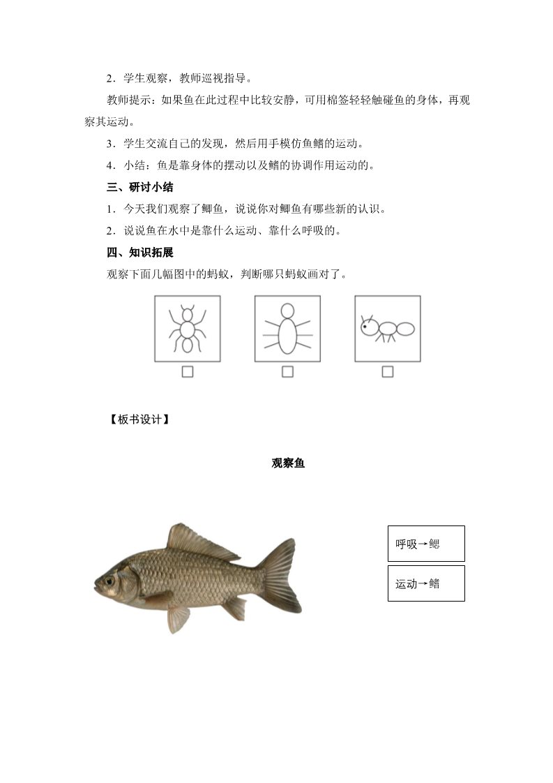 一年级下册科学（教科版）科学公开课2.5观察鱼教学设计教案第4页