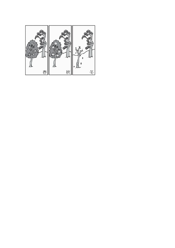 二年级上册语文语文《期中测试》期中检测试卷2第5页