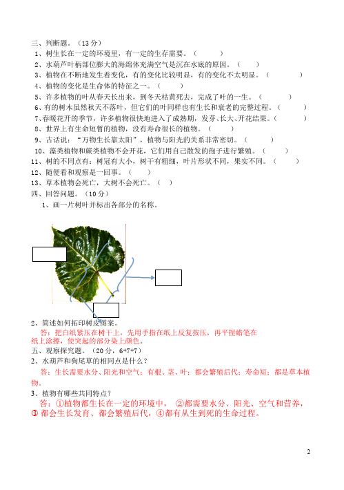 三年级上册科学科学第一单元植物测试题下载第2页