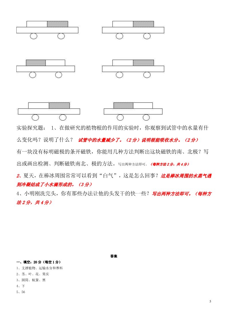 三年级下册科学（教科版）科学期末考试复习单元测试试卷第5页