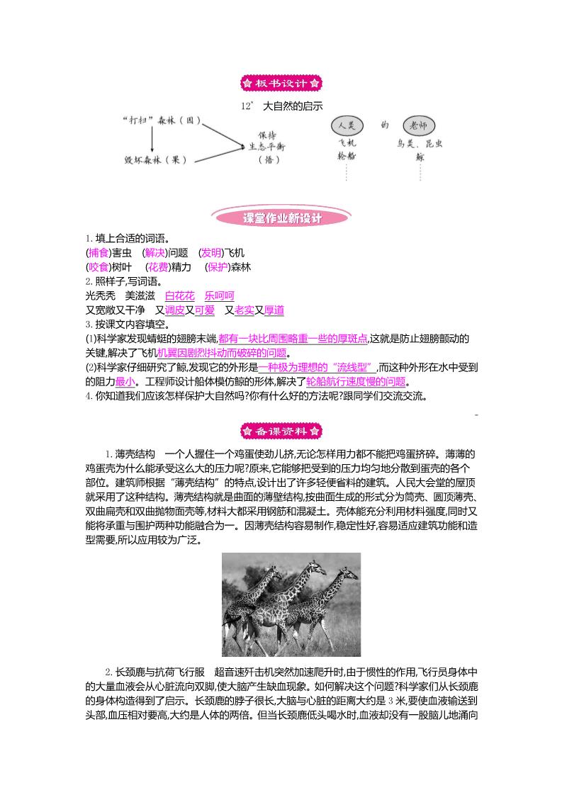 四年级下册语文12 大自然的启示 教案第4页