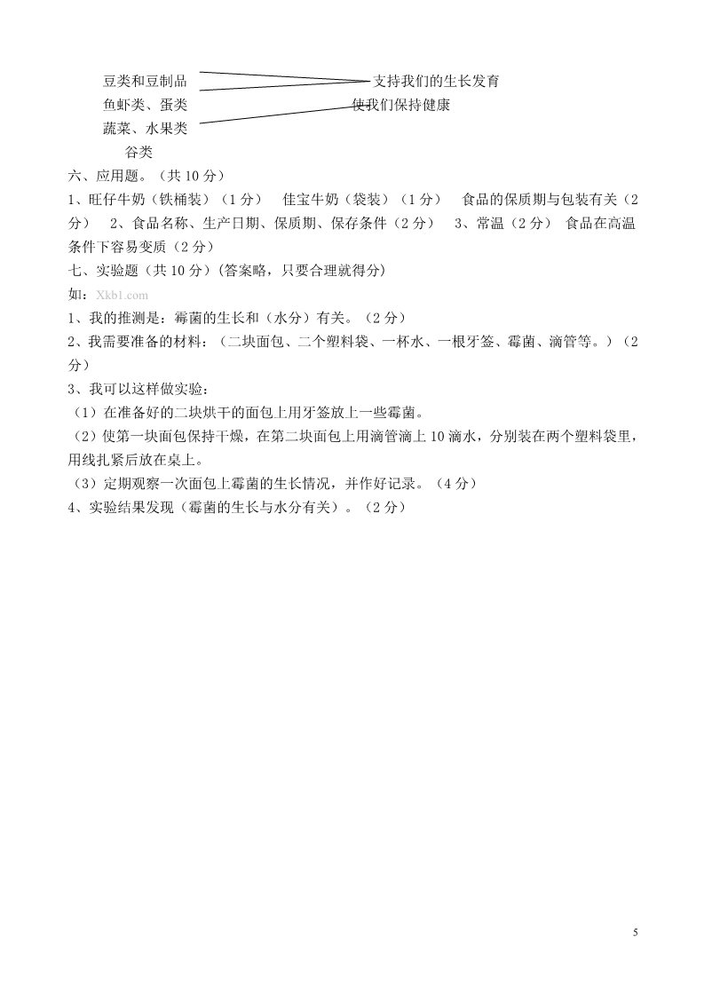 四年级下册科学（教科版）科学期末考试复习单元检测试卷第5页