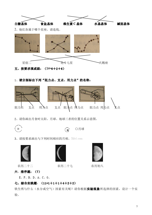 六年级下册科学教科版科学《期末考试》复习课堂练习试卷第5页