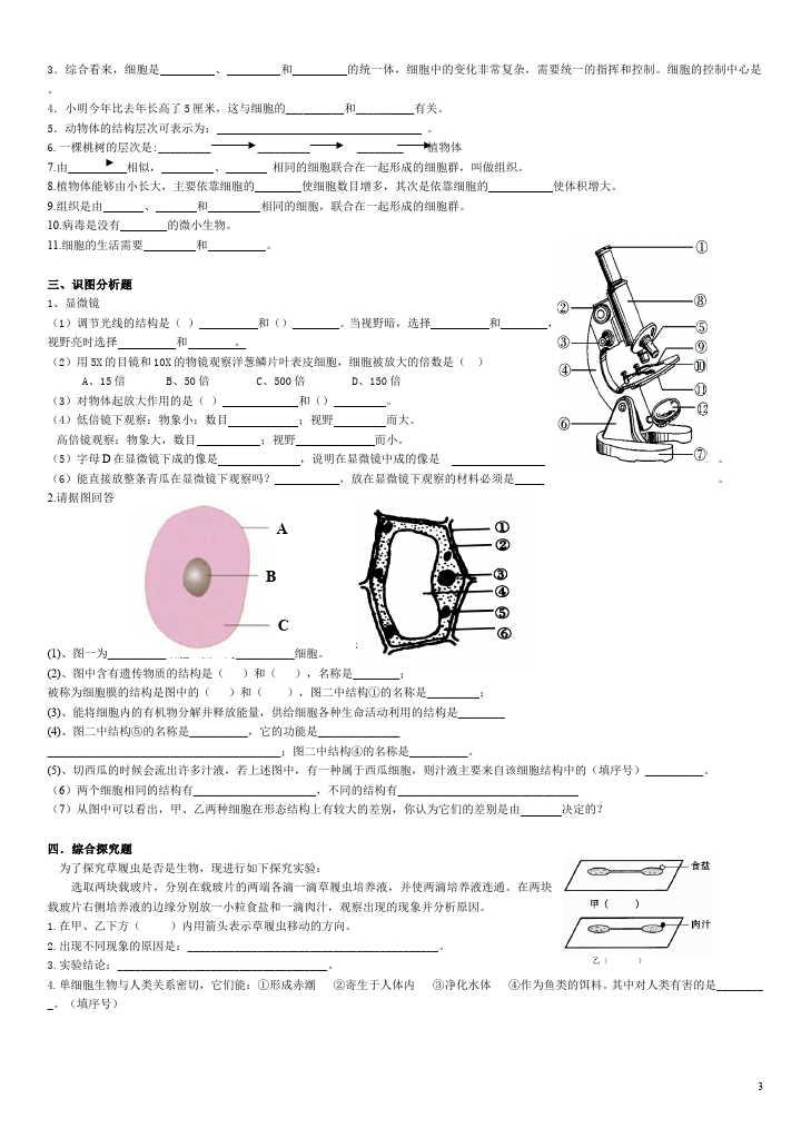 初一上册生物生物《第二单元:生物体的结构层次》试题练习第3页