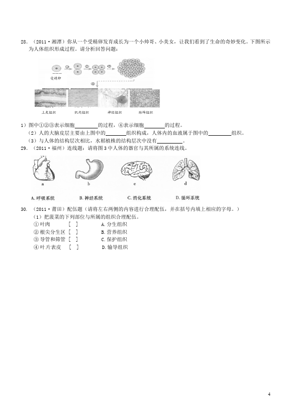 初一上册生物《第二单元:生物体的结构层次》生物试卷第4页