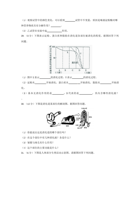 初一下册生物生物《第二章:人体的营养》练习试卷5第5页