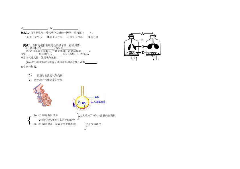 初一下册生物生物优质课《第三章:人体的呼吸》教学设计教案第3页