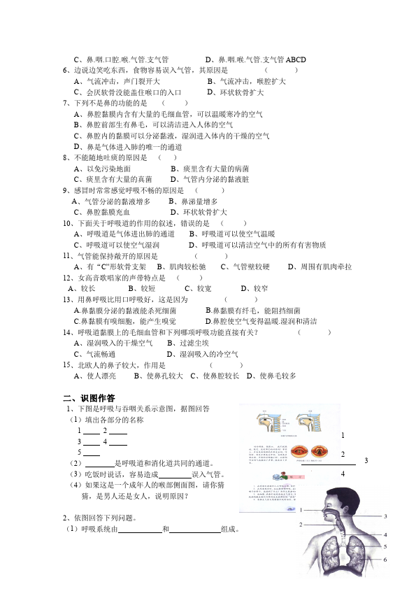 初一下册生物新生物精品《第三章:人体的呼吸》教案教学设计第2页