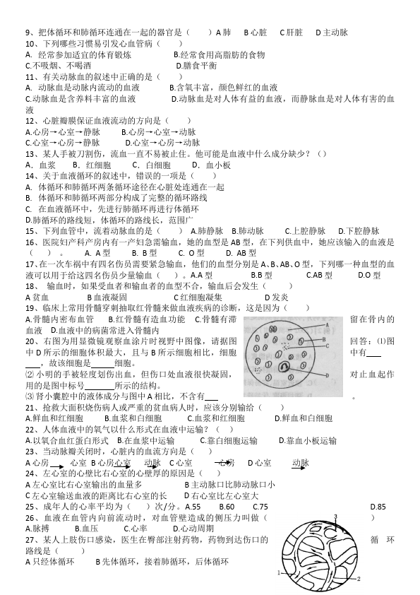 初一下册生物《第四章:人体内物质的运输》教案教学设计(生物)第3页