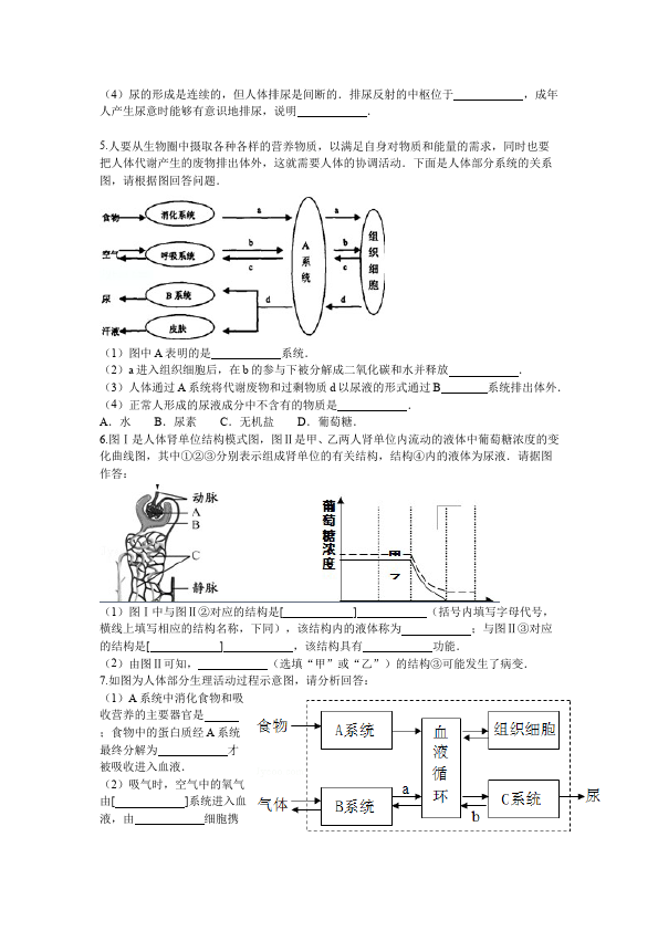 初一下册生物生物《第五章:人体内废物的排出》练习试卷2第4页