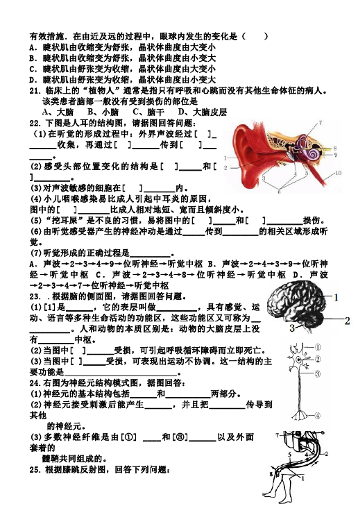 初一下册生物生物《第六章:人体生命活动的调节》练习试卷1第3页