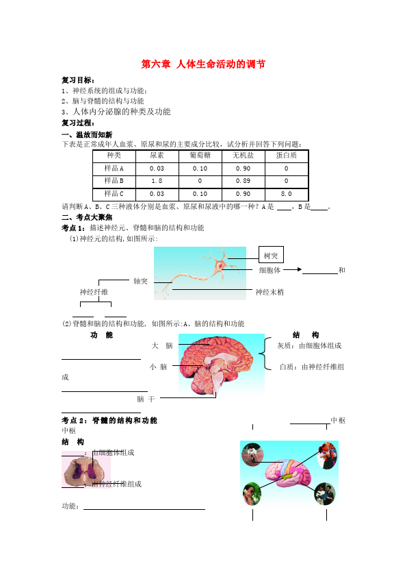 初一下册生物《第六章:人体生命活动的调节》教案教学设计第1页