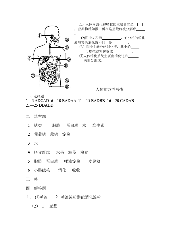 初一下册生物生物《第二章:人体的营养》练习试卷7第4页