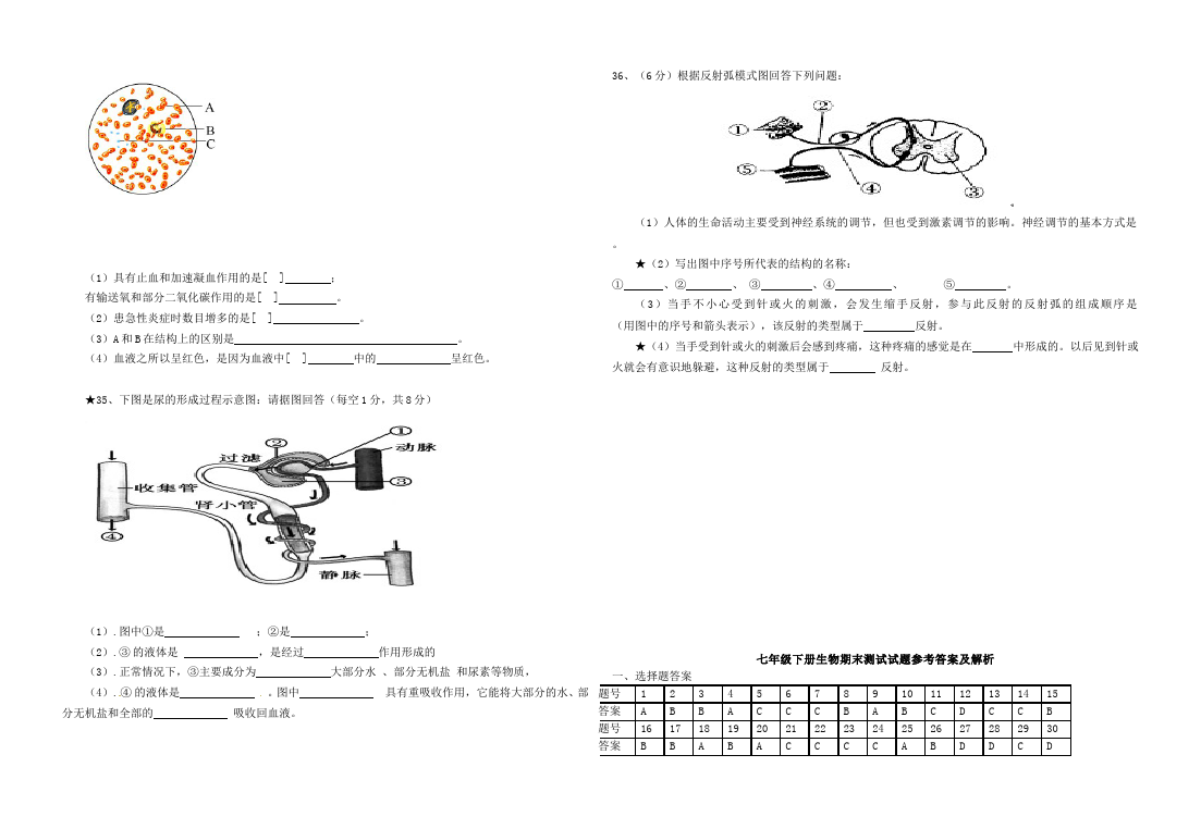 初一下册生物生物《期末考试》练习试卷2第3页