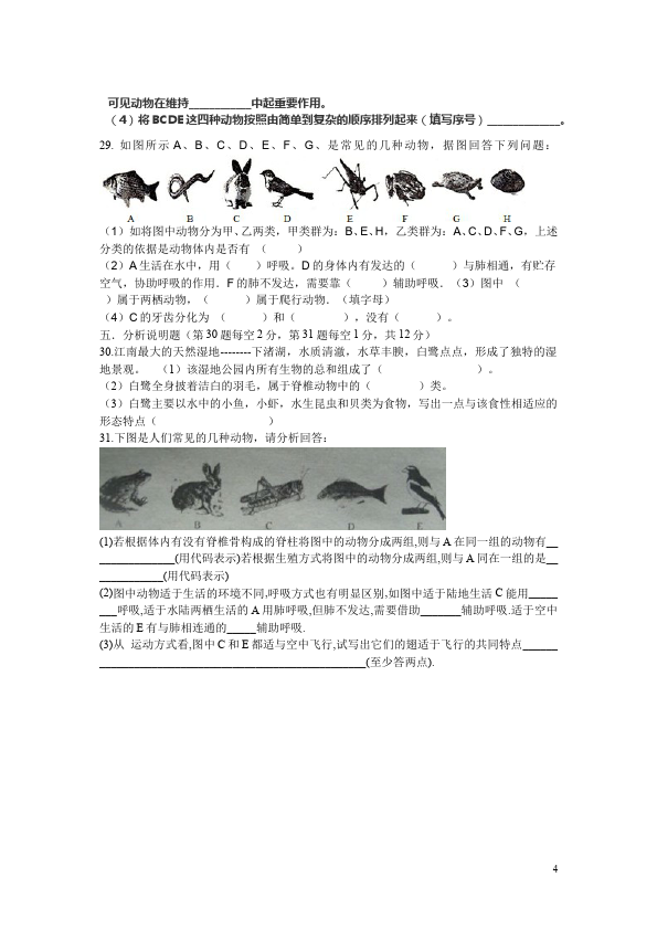 初二上册生物生物《第一章:动物的主要类群》试卷第4页