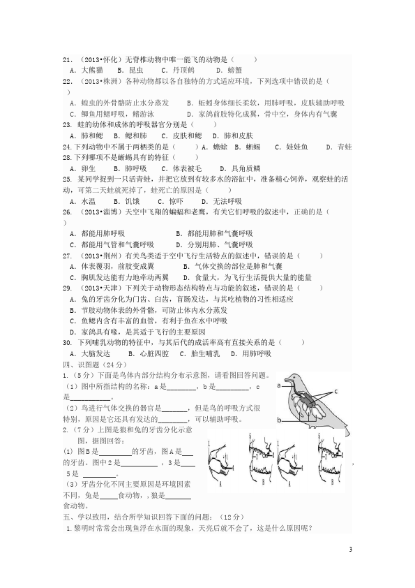 初二上册生物生物《第一章:动物的主要类群》单元检测题第3页