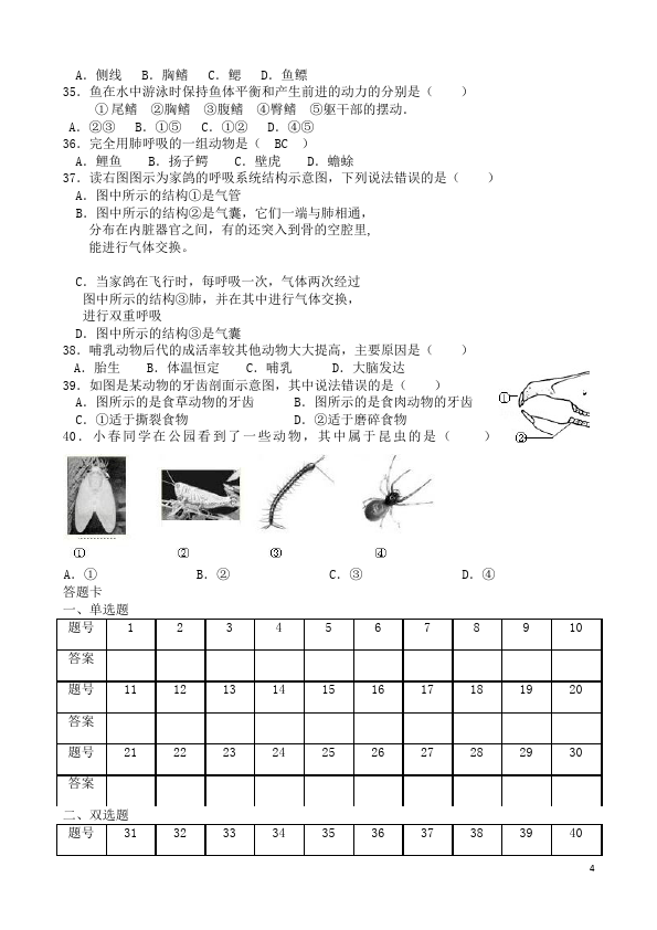 初二上册生物生物《第一章:动物的主要类群》家庭作业练习题第4页