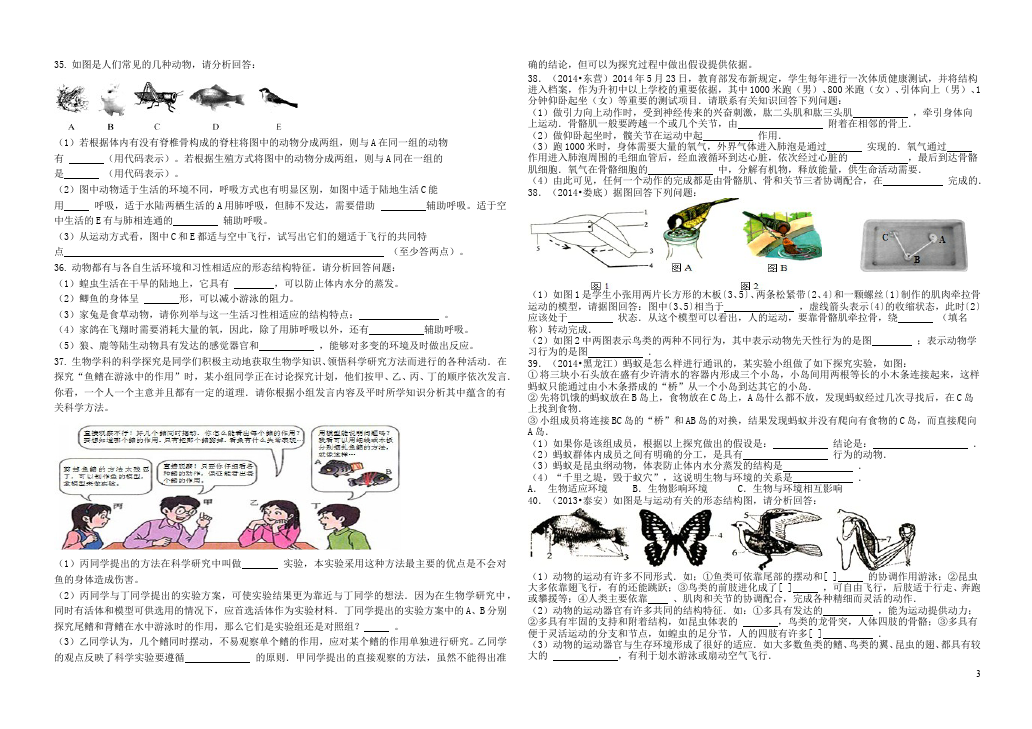 初二上册生物生物《第一章:动物的主要类群》单元测试题第3页