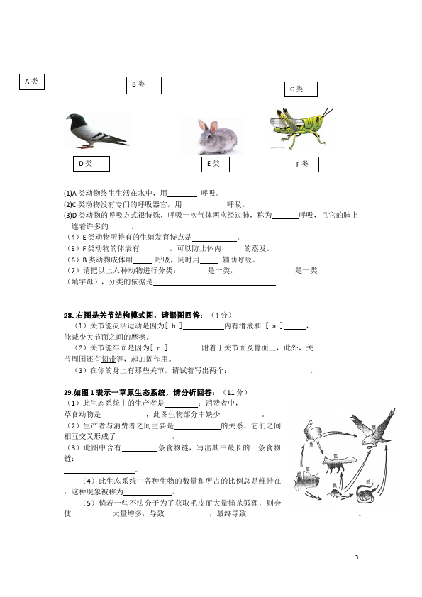 初二上册生物生物《期中考试附参考答案》课堂巩固练习试卷第3页