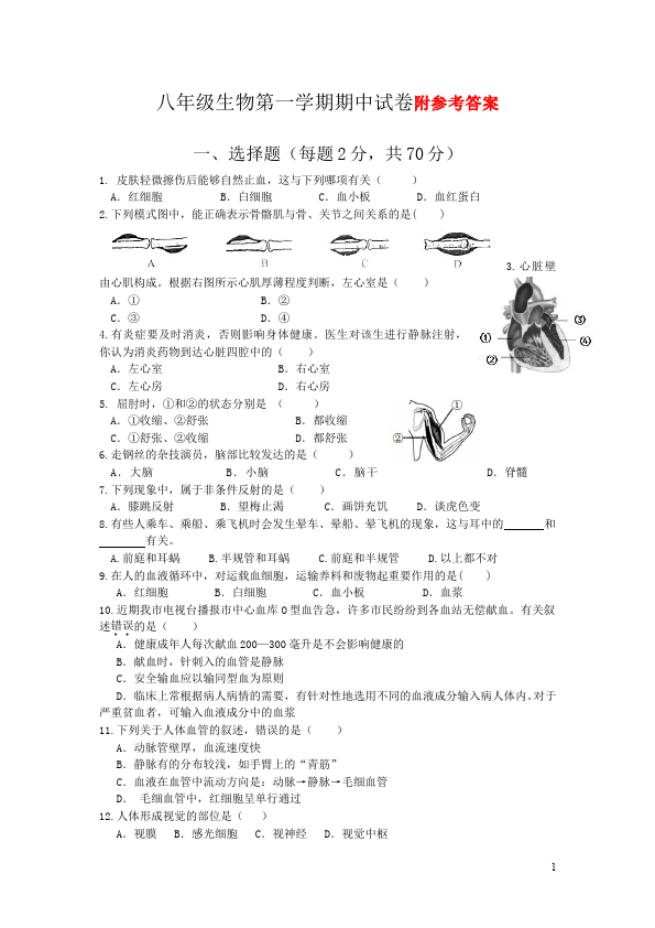 初二上册生物生物《期中考试附参考答案》单元检测题第1页