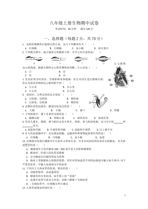 初二上册生物生物《期中考试附参考答案》试题练习第1页