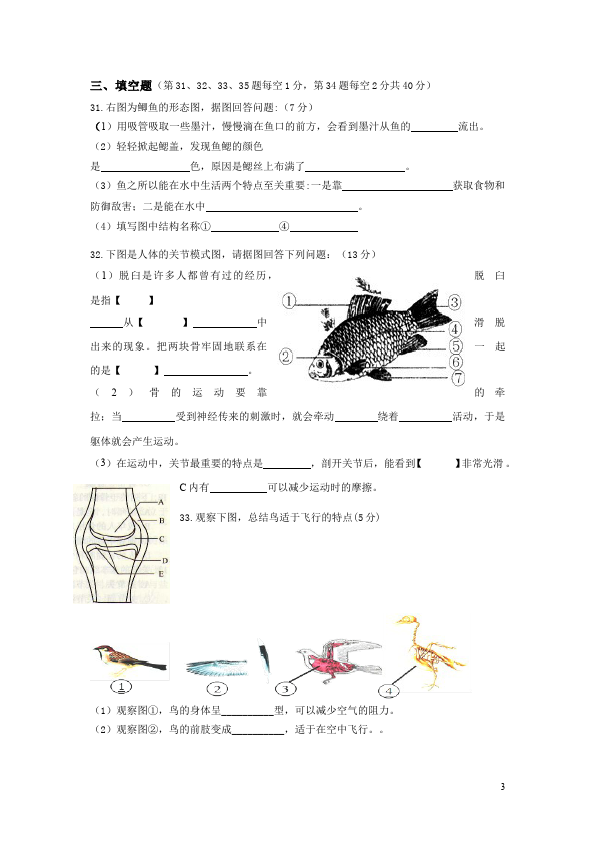 初二上册生物生物《期中考试附参考答案》复习考试试卷下载第3页