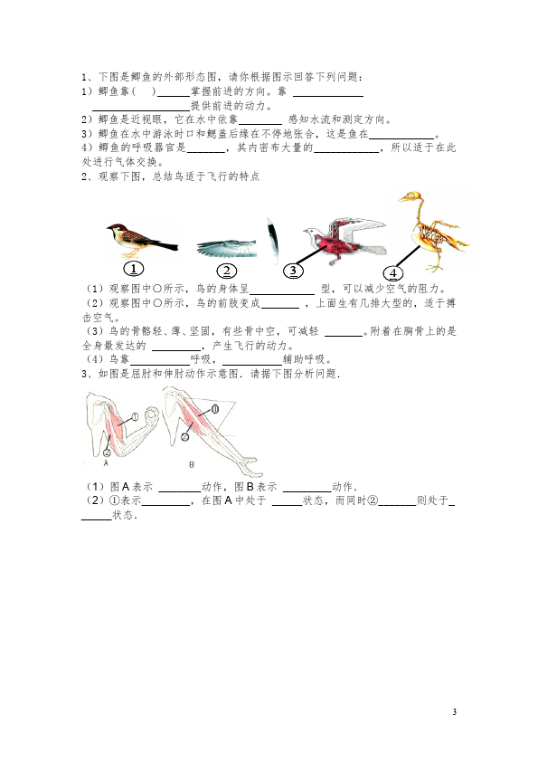 初二上册生物生物《期中考试附参考答案》测试题目第3页