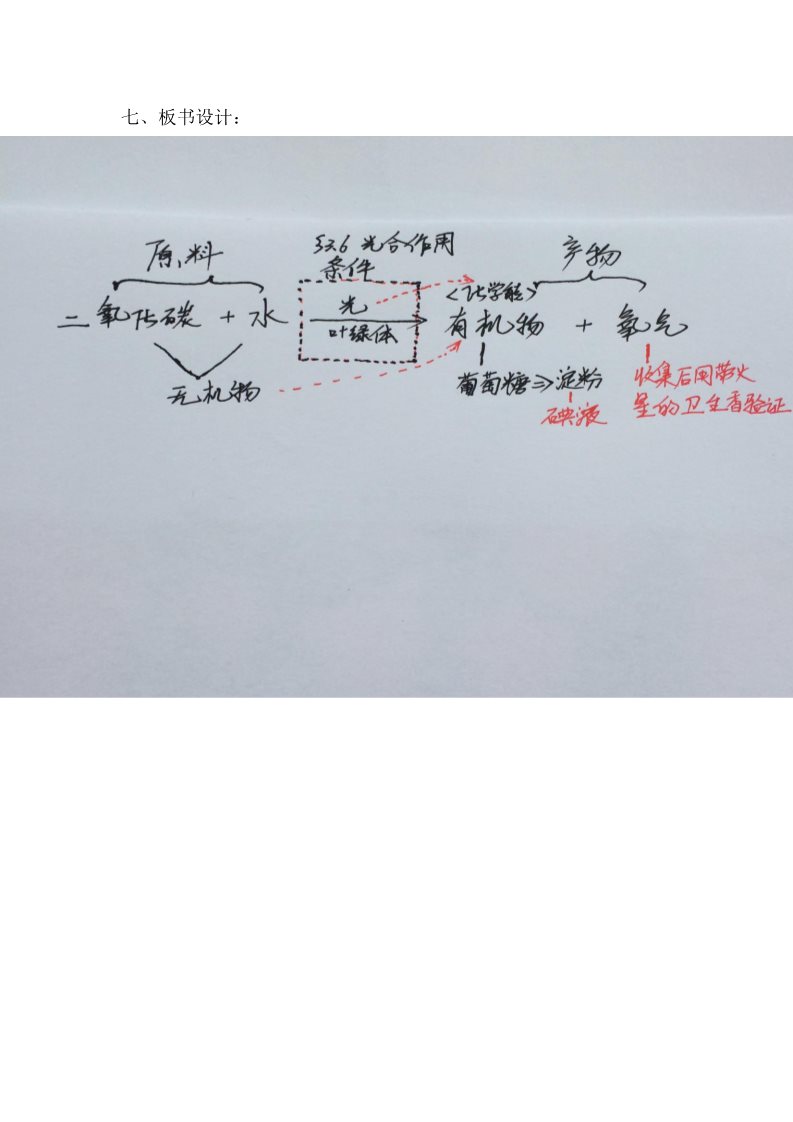 初二下册科学（教科版）浙教版八年级科学原创3.6光合作用教学设计教案第5页