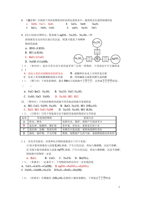 初三下册化学化学《第十一单元:盐化肥》试卷第2页