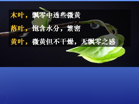 高中语文必修五第九课《说木叶》课件2 新人教版必修5第10页