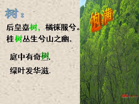 高中语文必修五高中语文 9 说“木叶”课件 新人教版必修5第9页