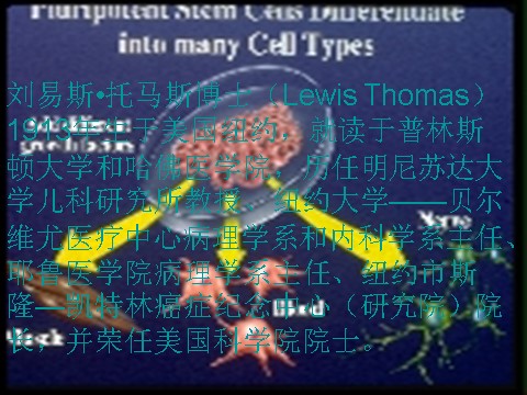 高中语文必修五高中语文 12 作为生物的社会课件 新人教版必修5第3页