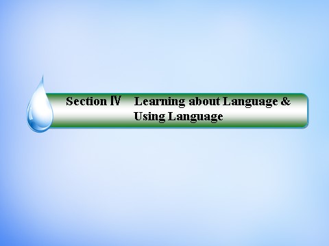 高中英语必修一（人教版）2.4Learning about Language & Using Language课件 新人教版必修1第2页