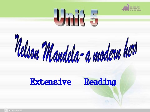 高中英语必修一（人教版）Unit 5 Nelson Mandela-a modern hero- Extensive reading（新人教版必修1）第1页