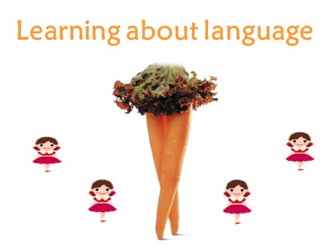 高中英语必修三（人教版）Unit 2 healthy eating-Language Learning[课件]第1页
