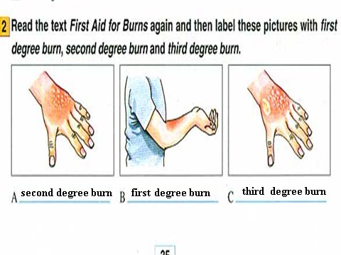 高中英语必修五（人教版）必修五 5.4《Unit5　First aid》 第5页