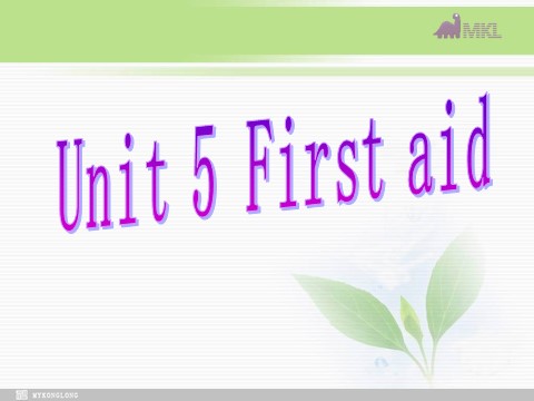 高中英语必修五（人教版）必修五 5.5《 Unit 5 First Aid》 第2页