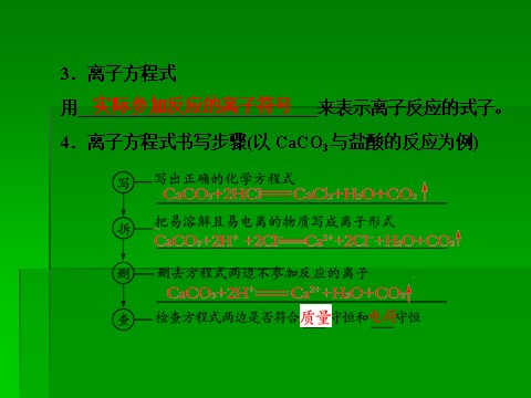 高中化学 必修一2014届高考化学一轮复习名师讲解课件：第二章 化学物质及其变化2-2 离子反应 86张PPT第10页