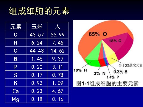 高中生物必修一2.1 细胞中的元素和化合物第4页