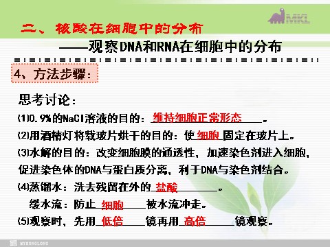 高中生物必修一必修1 第2章 第3节遗传信息的携带者——核酸第6页