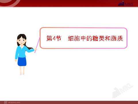 高中生物必修一2.4 细胞中的糖类和脂质第1页