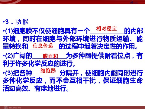 高中生物必修一高效课堂同步课件：3-2-2细胞器──系统内的分工（必修1）第10页