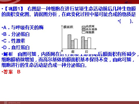 高中生物必修一高效课堂同步课件：3-2-2细胞器──系统内的分工（必修1）第8页