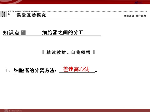 高中生物必修一高效课堂同步课件：3-2-1细胞器──系统内的分工（必修1）第4页