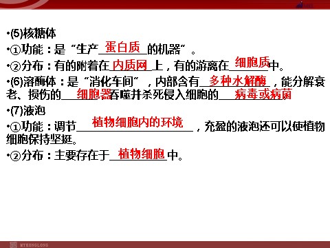 高中生物必修一高效课堂同步课件：3-2-1细胞器──系统内的分工（必修1）第7页