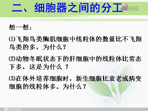 高中生物必修一必修1 第3章 第2节细胞器——系统内的分工合作第6页