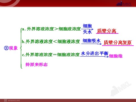 高中生物必修一第3讲  物质跨膜运输的实例和方式第3页