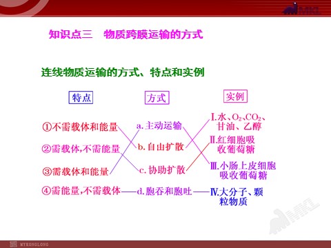 高中生物必修一第3讲  物质跨膜运输的实例和方式第5页