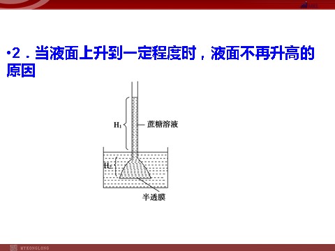 高中生物必修一高效课堂同步课件：4-1物质跨膜运输的实例（必修1）第8页