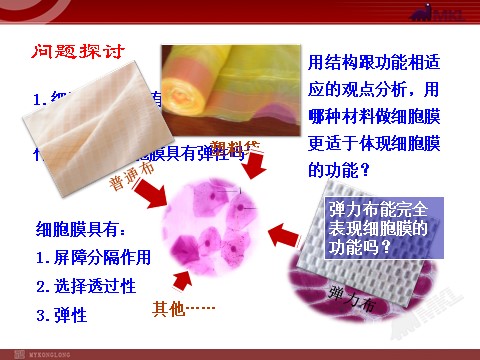 高中生物必修一4.2生物膜的流动镶嵌模型第3页